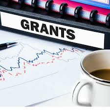 How to Access Government Grants for Small Businesses in Nigeria